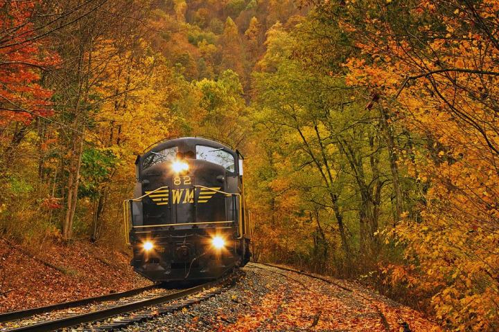 a train traveling down train tracks near a forest