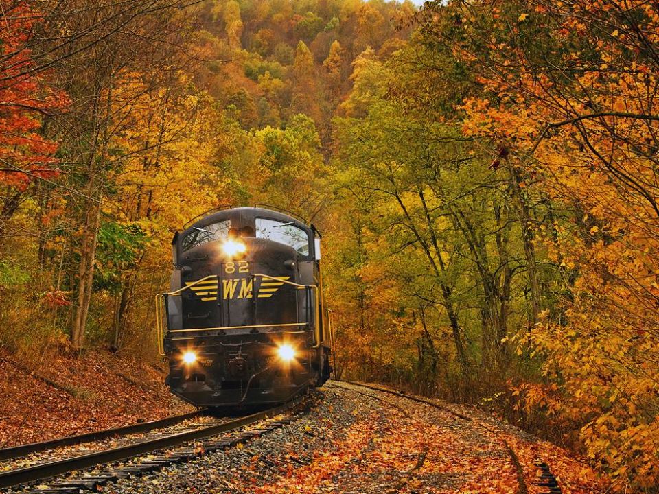 a train traveling down train tracks near a forest