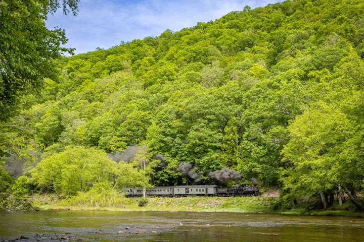 Steam train with black smoke travels through lush green forest by a river.