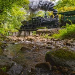 a train traveling down train tracks next to a river