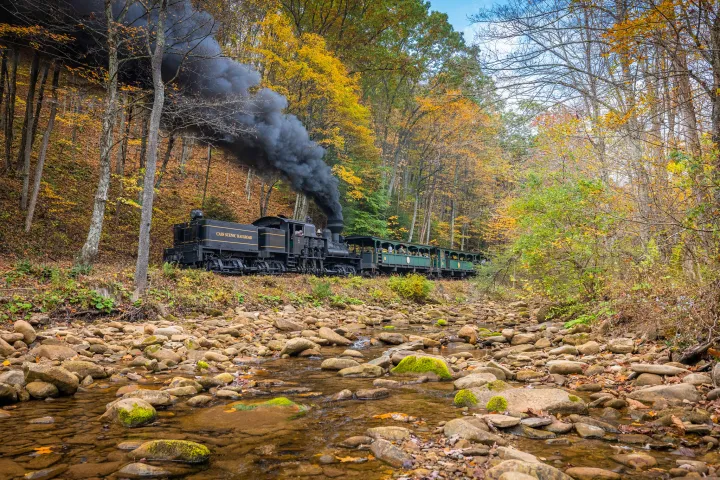 a train traveling down train tracks near a forest