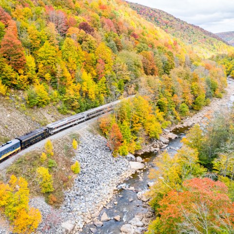 a train traveling down train tracks near a forest