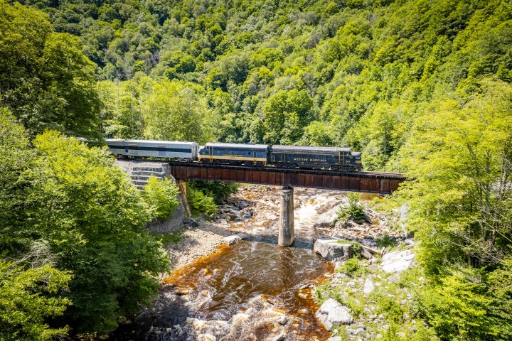 a train that is sitting on a bench next to a forest
