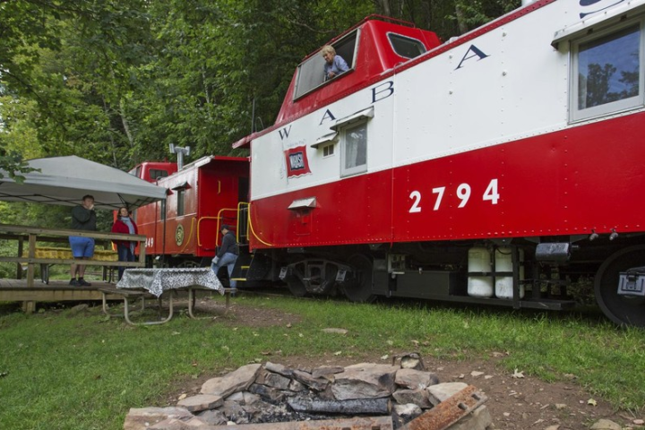 a train is parked on the grass