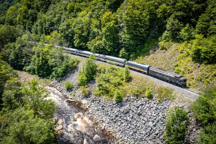 a train traveling down train tracks near a forest