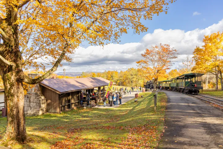 a large tree in a park
