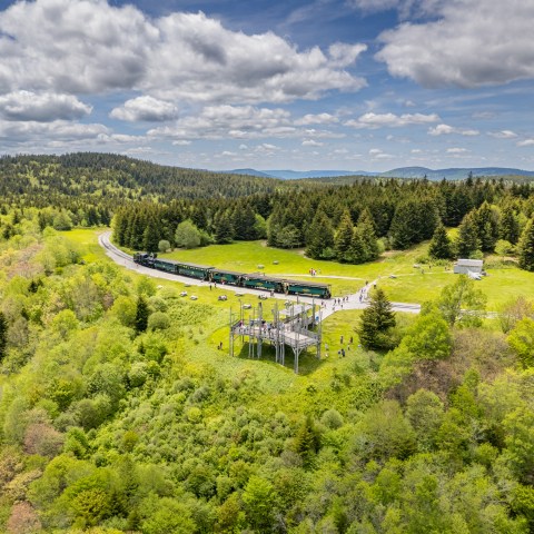 a close up of a lush green hillside