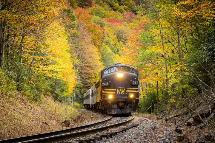 a train traveling down train tracks near a forest