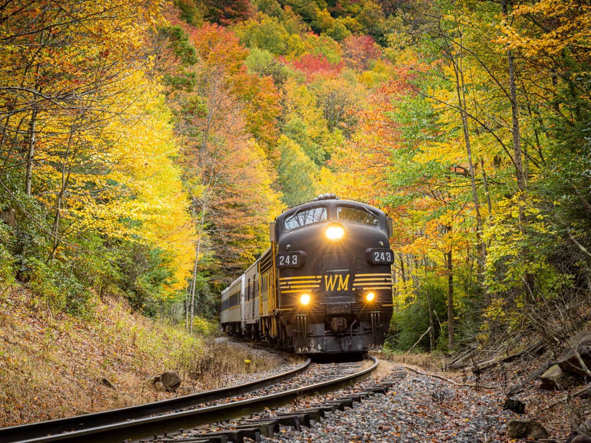 a train traveling down train tracks near a forest