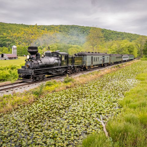 a train traveling through a lush green field