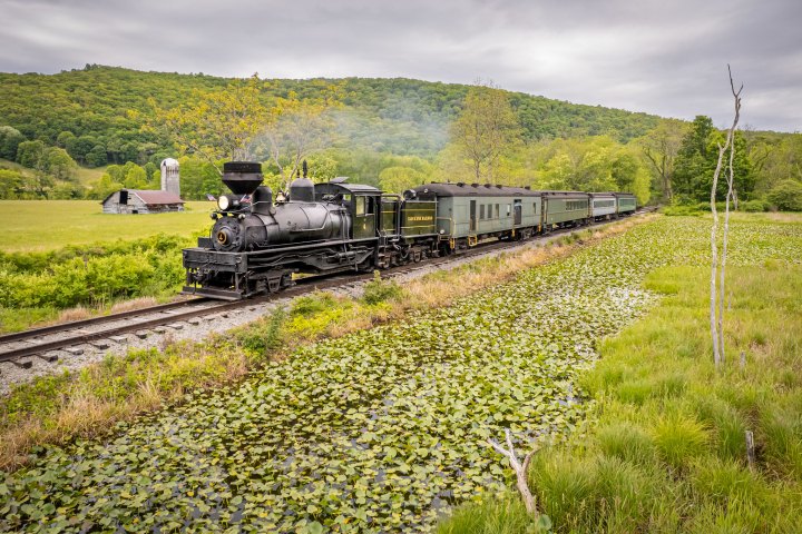 a train traveling through a lush green field