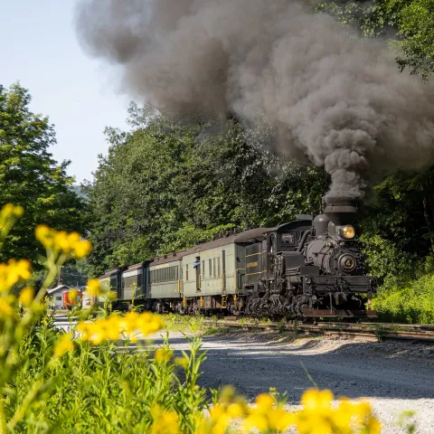 a train on a track with smoke coming out of it
