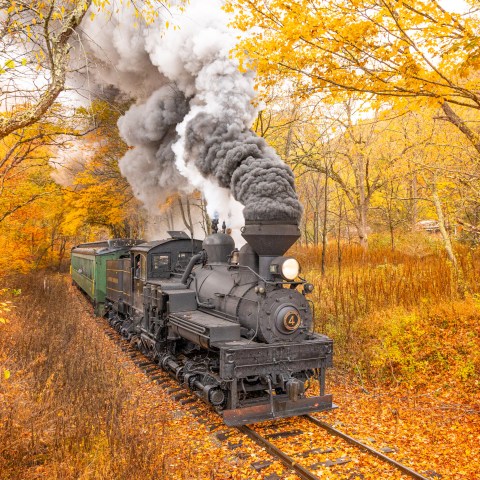 a train traveling down train tracks near a forest