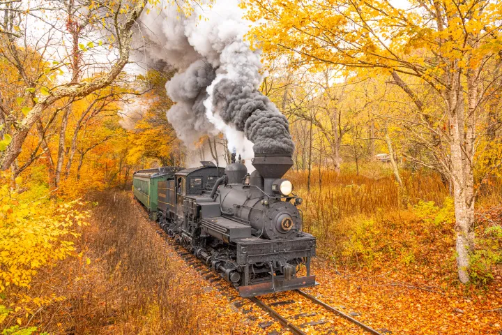 a train traveling down train tracks near a forest