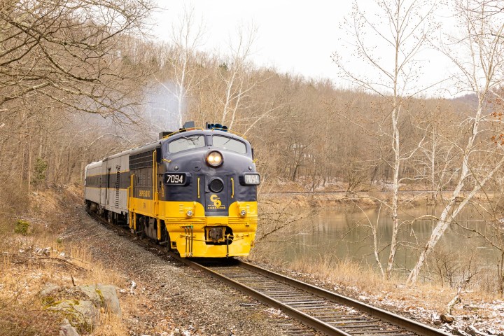 a train traveling down train tracks near a forest