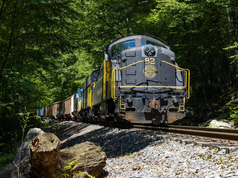 WS_WVC Freight-4928 a train traveling down train tracks near a forest
