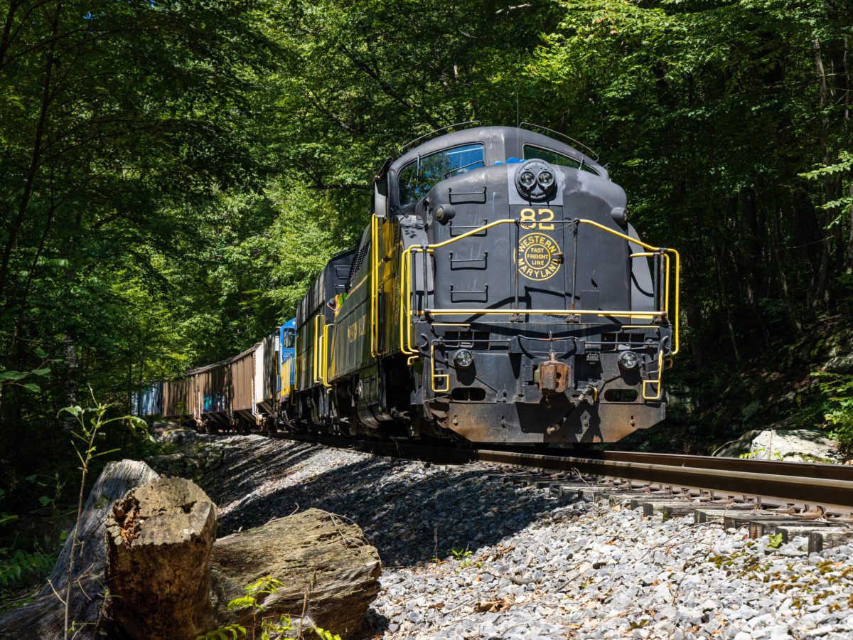 a train traveling down train tracks near a forest