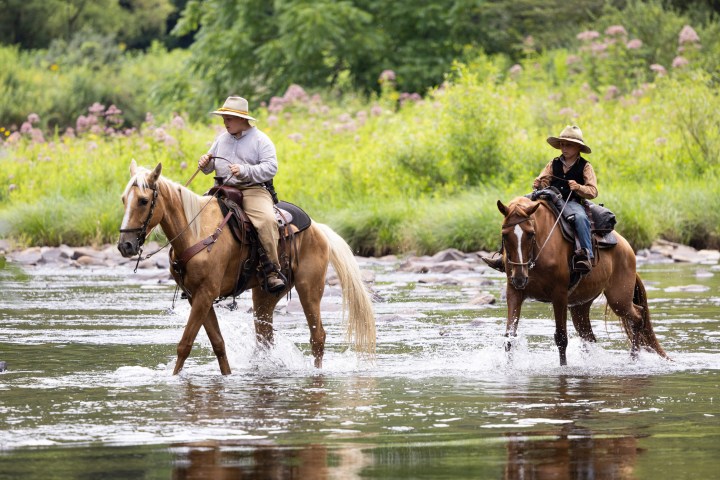 Two people in hats riding horses through a shallow stream with a green, grassy background.