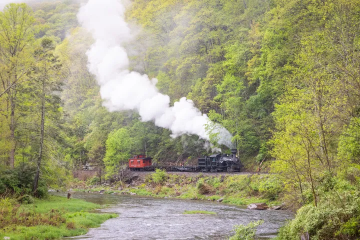 a steam engine train traveling down train tracks near a forest