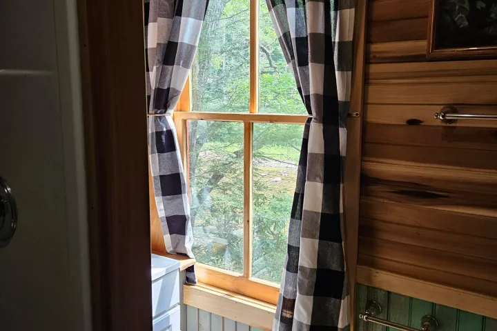 Room with plaid curtains, wood paneling, and view of green trees outside.