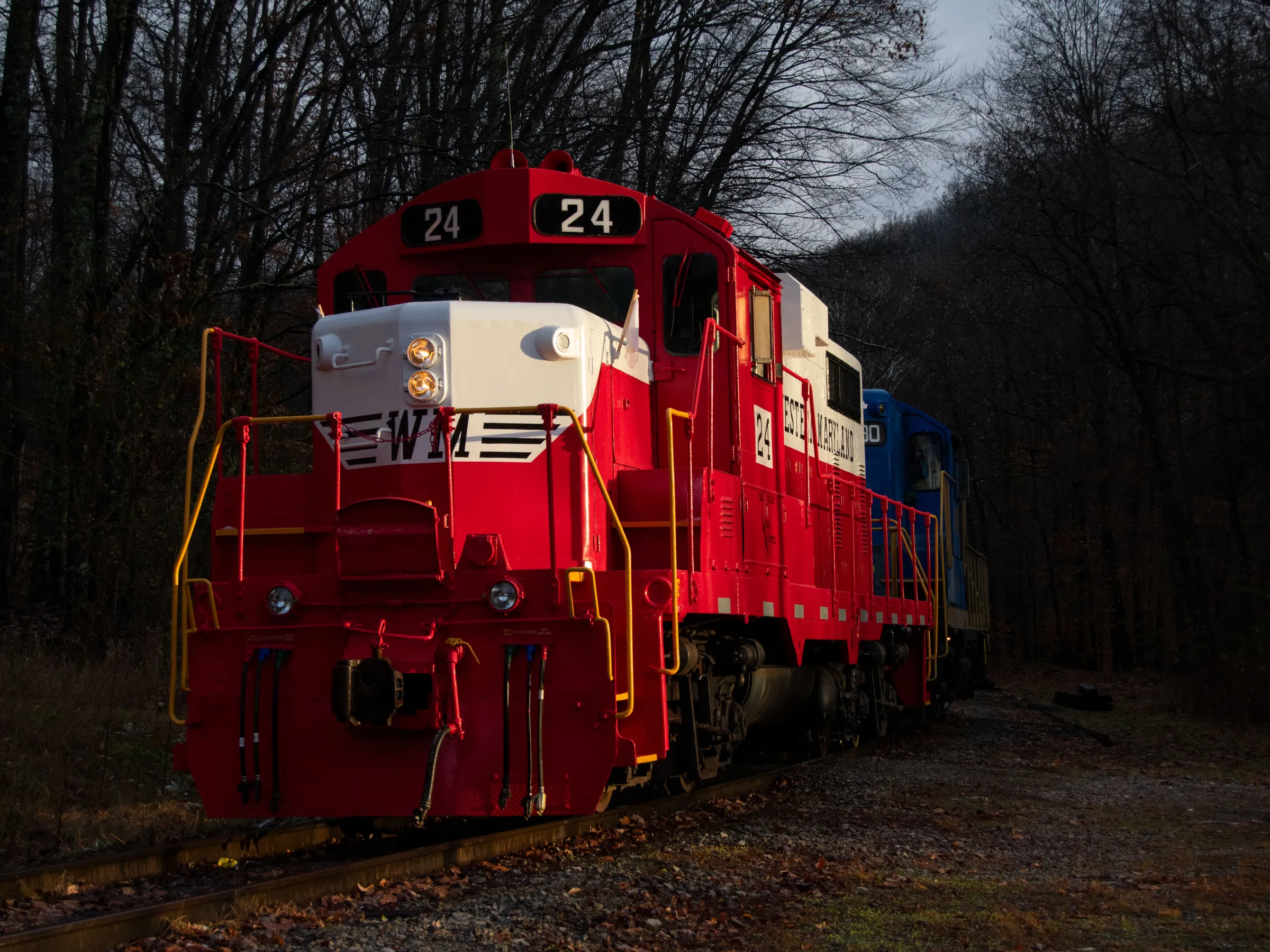 Red and white locomotive number 24 on tracks in a wooded area at dusk.
