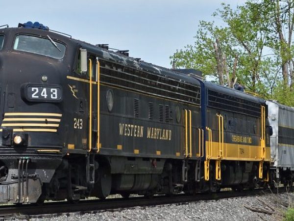 Black and yellow train on tracks with trees in background and wooden fence in foreground.