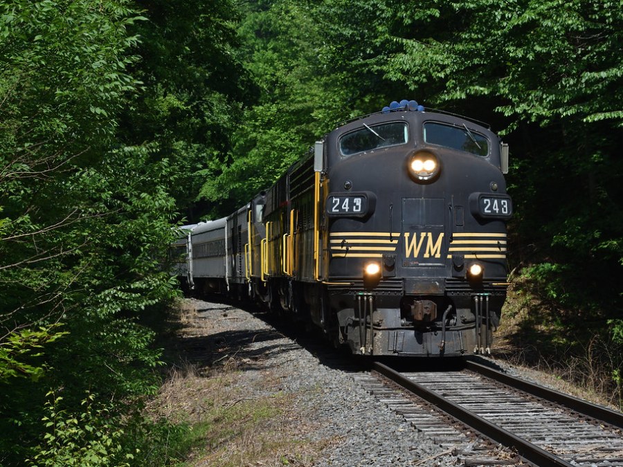 Vintage black train travels through lush green forest on a sunny day.